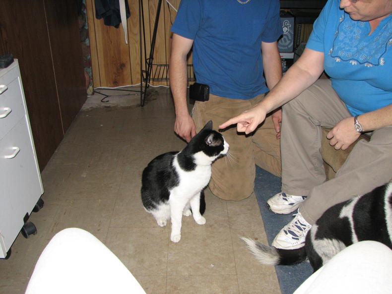 Port Angeles 002.jpg